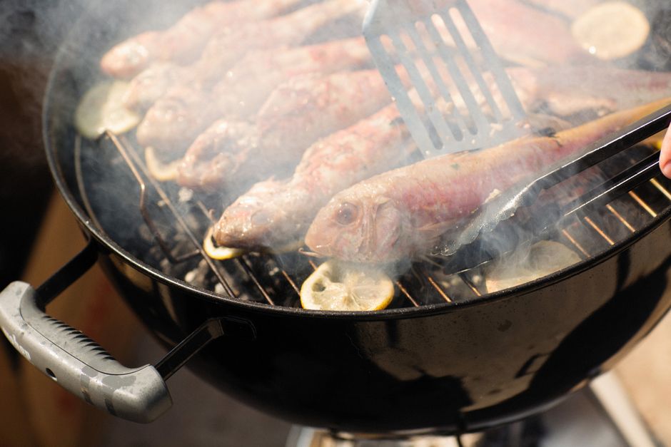 Weber and Nexgrill Recalled 13 Million Grill Brushes: Now What?