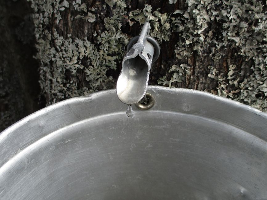 Stop Leaky Faucets With These Simple DIY Fixes