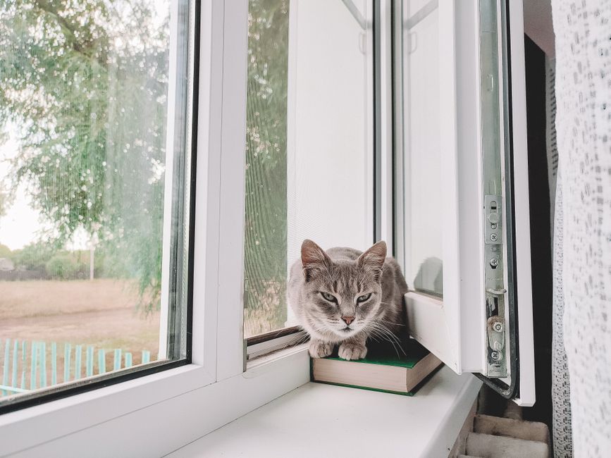 Stop Window Drafts and Lower Your Heating Bills